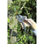 Секатор контактный Fiskars PowerStep с храповым механизмом (111670)
