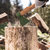 Топор кованный в сборе 1400/1750г деревянное топорище 500мм Б4 Сибртех (21614)