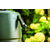 Bosch GardenPump 18 (06008C4200)