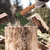 Топор кованный в сборе 600/850г деревянное топорище 400мм Б1 Сибртех (21606)