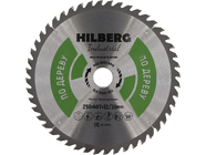 Диск пильный по дереву 250х48Tx32/30мм Hilberg Industrial HW254